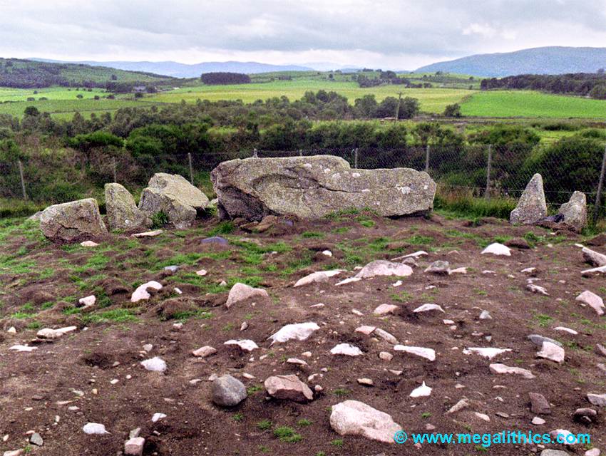 Tomnaverie recumbent stone circle - 1999